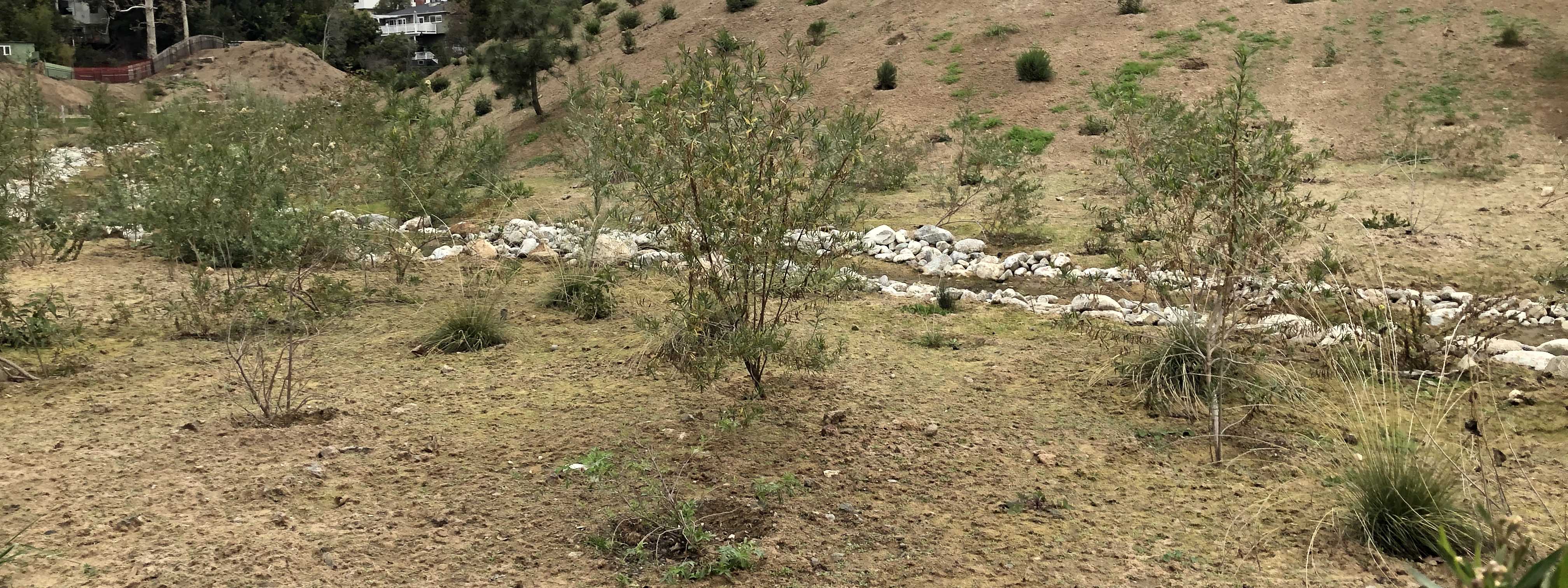 plants 1600-600 George Wolfberg Park at Potrero Canyon grand opening event, at former Potrero Canyon Park
